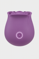 10 Mode Rechargeable Suction Vibrator Rose Sex Toy